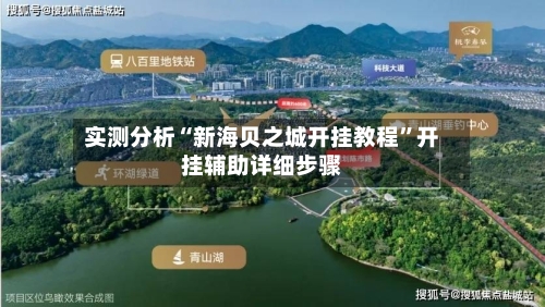 实测分析“新海贝之城开挂教程”开挂辅助详细步骤-第3张图片