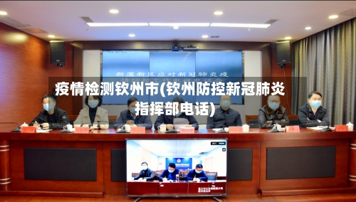 疫情检测钦州市(钦州防控新冠肺炎指挥部电话)-第2张图片