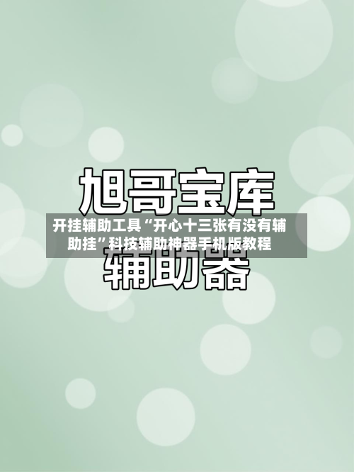 开挂辅助工具“开心十三张有没有辅助挂”科技辅助神器手机版教程-第2张图片