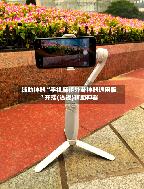 辅助神器“手机麻将外卦神器通用版”开挂(透视)辅助神器-第1张图片