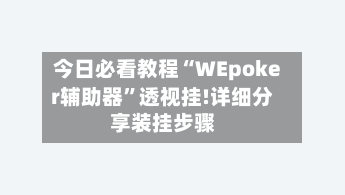 今日必看教程“WEpoker辅助器	”透视挂!详细分享装挂步骤-第2张图片