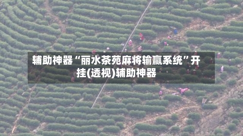 辅助神器“丽水茶苑麻将输赢系统”开挂(透视)辅助神器-第1张图片