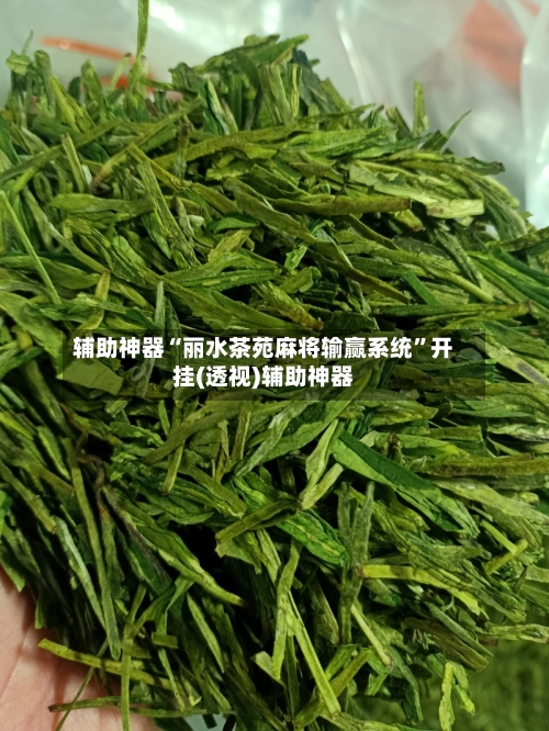 辅助神器“丽水茶苑麻将输赢系统”开挂(透视)辅助神器-第2张图片