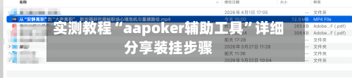 实测教程“aapoker辅助工具	”详细分享装挂步骤-第1张图片