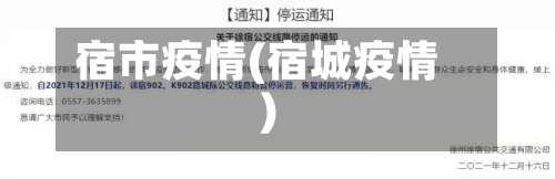 宿市疫情(宿城疫情)-第1张图片
