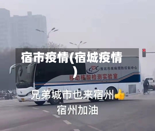 宿市疫情(宿城疫情)-第2张图片