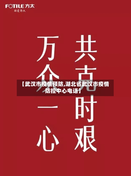 【武汉市疫情预防,湖北省武汉市疫情防控中心电话】-第3张图片