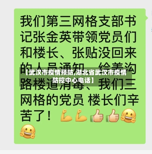 【武汉市疫情预防,湖北省武汉市疫情防控中心电话】-第2张图片