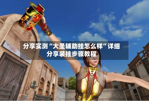 分享实测“大圣辅助挂怎么样”详细分享装挂步骤教程-第3张图片