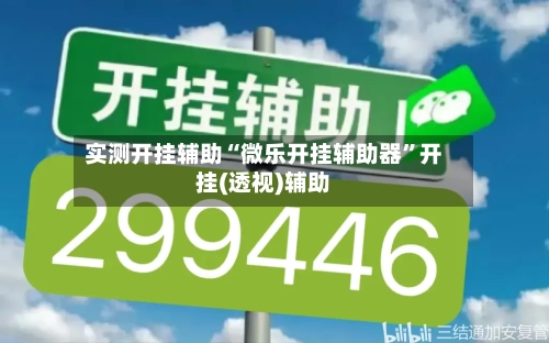 实测开挂辅助“微乐开挂辅助器	”开挂(透视)辅助-第1张图片