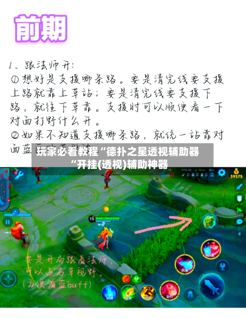 玩家必看教程“德扑之星透视辅助器“开挂(透视)辅助神器-第3张图片