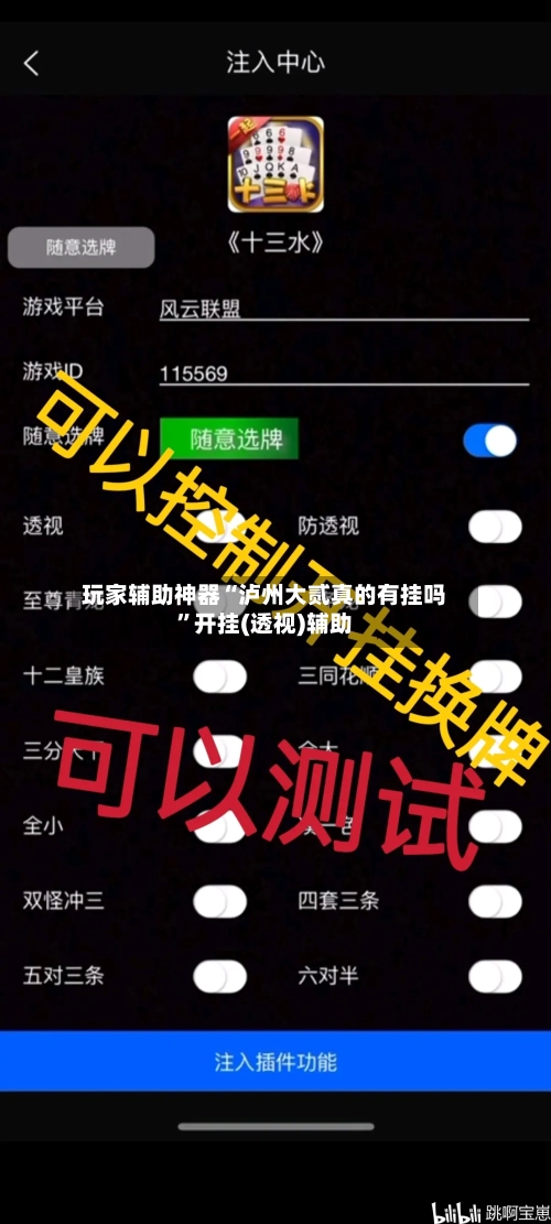玩家辅助神器“泸州大贰真的有挂吗”开挂(透视)辅助-第1张图片