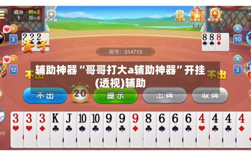 辅助神器“哥哥打大a辅助神器”开挂(透视)辅助-第1张图片