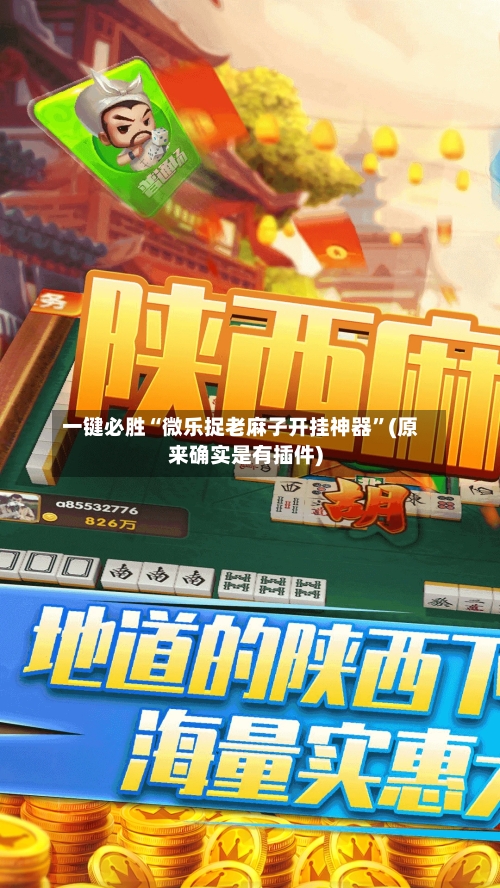 一键必胜“微乐捉老麻子开挂神器”(原来确实是有插件)-第1张图片