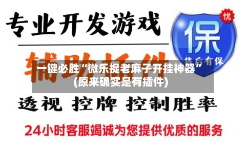 一键必胜“微乐捉老麻子开挂神器”(原来确实是有插件)-第3张图片