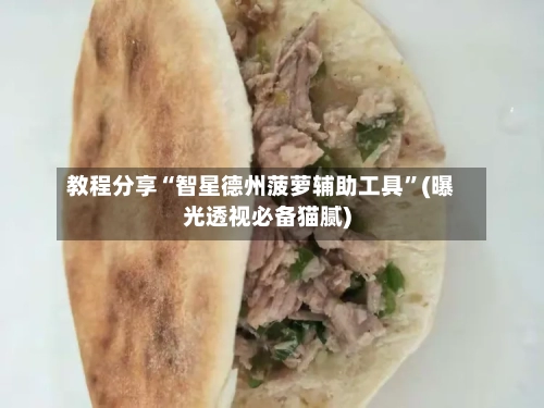 教程分享“智星德州菠萝辅助工具”(曝光透视必备猫腻)-第1张图片