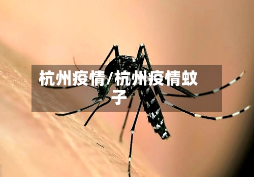 杭州疫情/杭州疫情蚊子-第1张图片