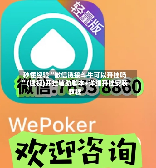 秒懂经验“微信链接斗牛可以开挂吗	”(透视)开挂辅助脚本+详细开挂安装教程-第1张图片