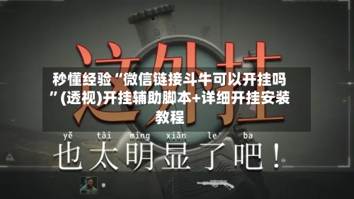 秒懂经验“微信链接斗牛可以开挂吗”(透视)开挂辅助脚本+详细开挂安装教程-第2张图片
