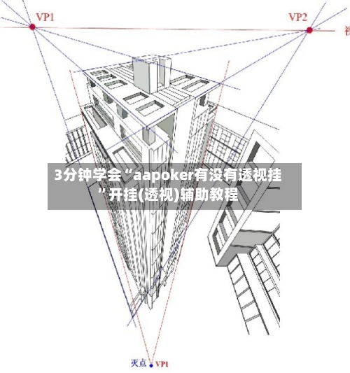 3分钟学会“aapoker有没有透视挂”开挂(透视)辅助教程-第3张图片