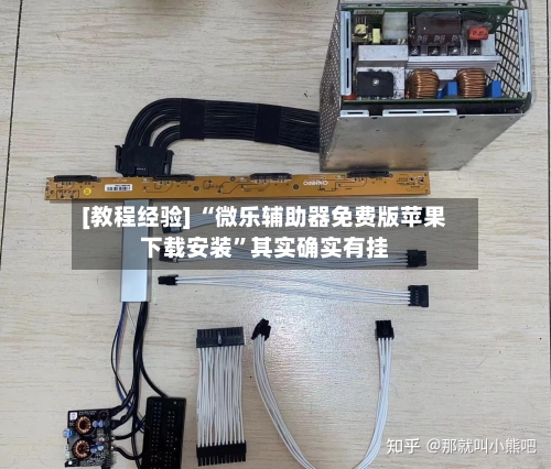 [教程经验] “微乐辅助器免费版苹果下载安装”其实确实有挂-第3张图片