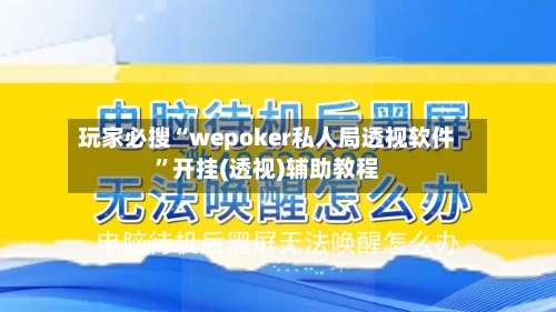 玩家必搜“wepoker私人局透视软件	”开挂(透视)辅助教程-第3张图片