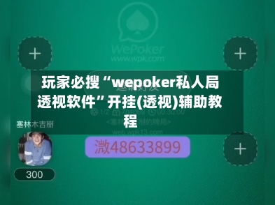 玩家必搜“wepoker私人局透视软件”开挂(透视)辅助教程-第2张图片