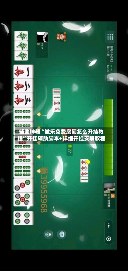 辅助神器“微乐免费房间怎么开挂教程”开挂辅助脚本+详细开挂安装教程-第2张图片