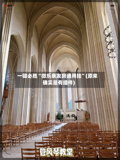 一键必胜“微乐亲友房通用挂	”(原来确实是有插件)-第2张图片