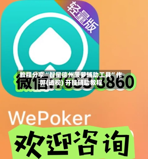 教程分享“智星德州菠萝辅助工具”作弊(透视) 开挂辅助教程-第1张图片
