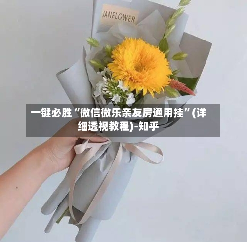 一键必胜“微信微乐亲友房通用挂”(详细透视教程)-知乎-第2张图片