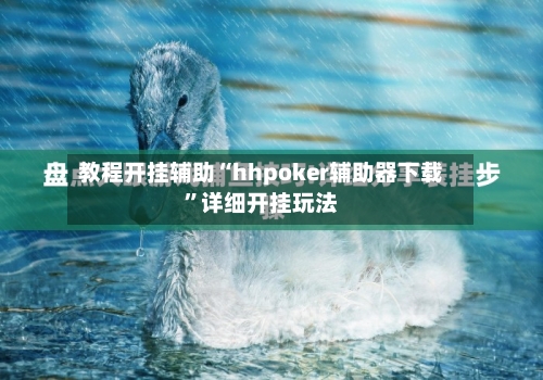教程开挂辅助“hhpoker辅助器下载”详细开挂玩法-第1张图片