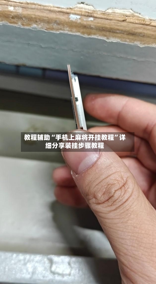 教程辅助“手机上麻将开挂教程	”详细分享装挂步骤教程-第2张图片