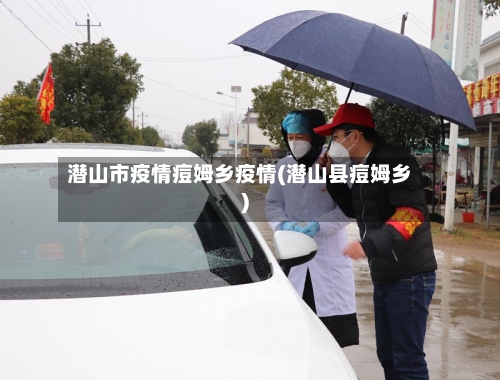 潜山市疫情痘姆乡疫情(潜山县痘姆乡)-第2张图片