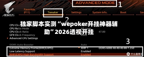 独家脚本实测“wepoker开挂神器辅助”2026透视开挂-第2张图片