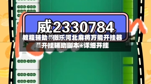 教程辅助“微乐河北麻将万能开挂器”开挂辅助脚本+详细开挂-第2张图片