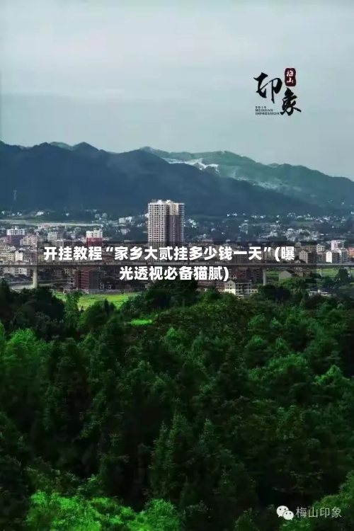 开挂教程“家乡大贰挂多少钱一天”(曝光透视必备猫腻)-第1张图片