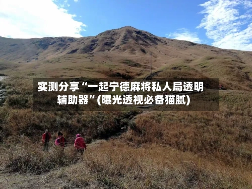 实测分享“一起宁德麻将私人局透明辅助器”(曝光透视必备猫腻)-第1张图片