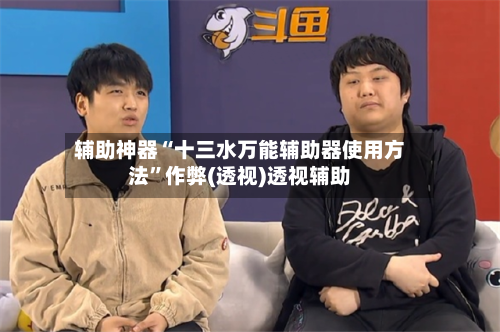 辅助神器“十三水万能辅助器使用方法”作弊(透视)透视辅助-第1张图片