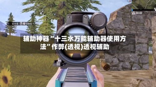 辅助神器“十三水万能辅助器使用方法”作弊(透视)透视辅助-第2张图片