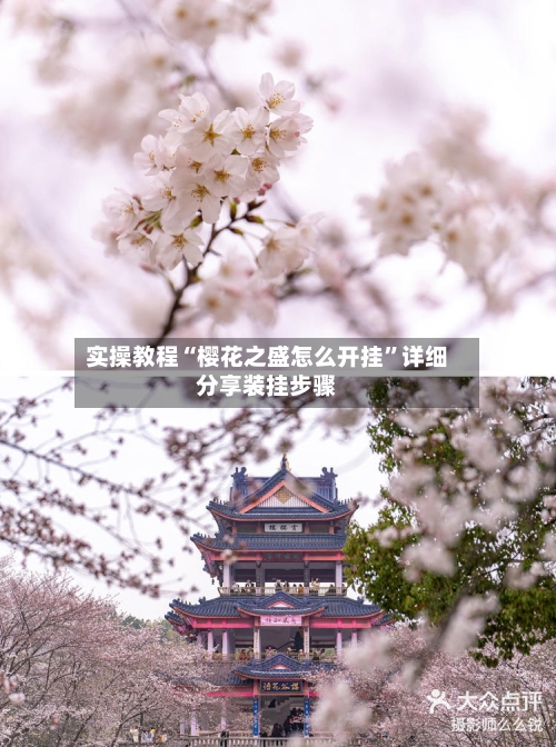 实操教程“樱花之盛怎么开挂”详细分享装挂步骤-第2张图片