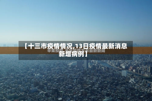 【十三市疫情情况,13日疫情最新消息新增病例】-第1张图片
