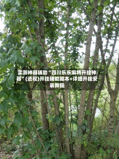 实测神器辅助“四川乐乐麻将开挂神器”(透视)开挂辅助脚本+详细开挂安装教程-第3张图片