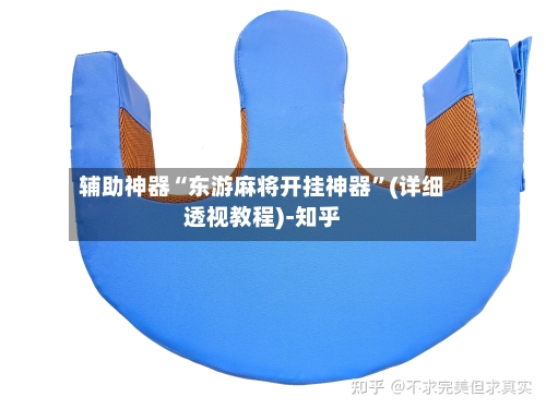 辅助神器“东游麻将开挂神器”(详细透视教程)-知乎-第1张图片