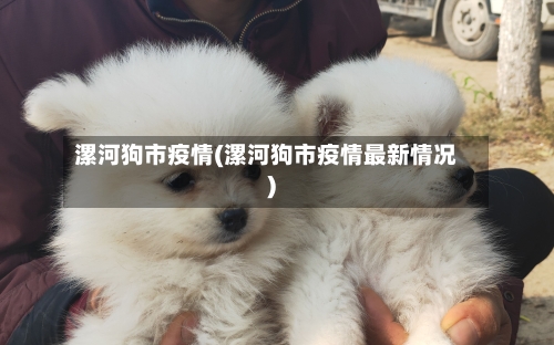 漯河狗市疫情(漯河狗市疫情最新情况)-第1张图片