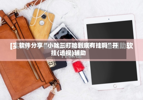 软件分享“小吆三打哈到底有挂吗”开挂(透视)辅助-第3张图片