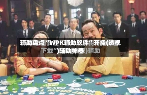 辅助盘点“WPK辅助软件”开挂(透视)辅助神器-第2张图片