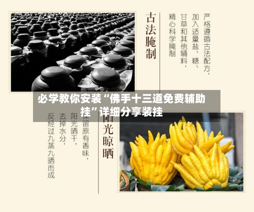 必学教你安装“佛手十三道免费辅助挂”详细分享装挂-第1张图片