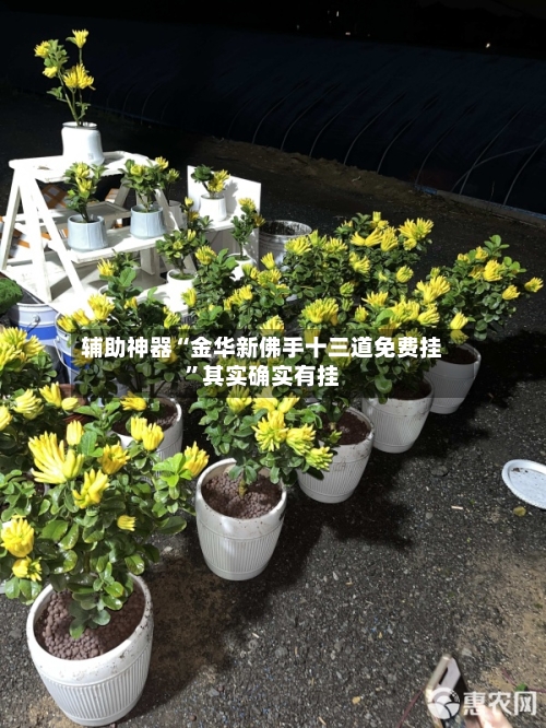 辅助神器“金华新佛手十三道免费挂”其实确实有挂-第2张图片