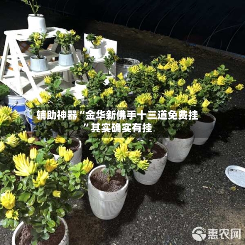 辅助神器“金华新佛手十三道免费挂”其实确实有挂-第1张图片